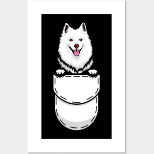 Funny American Eskimo Pocket Dog Posters and Art